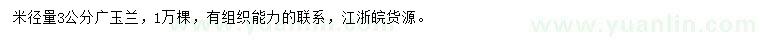 求購米徑3公分廣玉蘭
