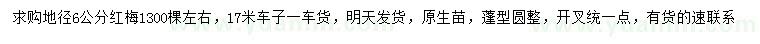求購地徑6公分紅梅