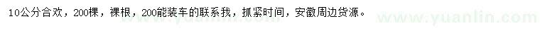 求購10公分合歡
