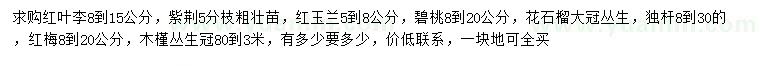 求購紅葉李、紫荊、紅玉蘭等