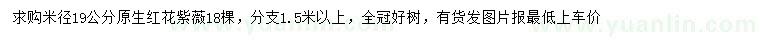 求購米徑19公分原生紅花紫薇