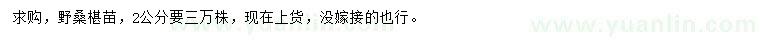 求購2公分野桑椹苗