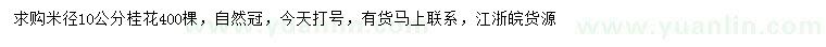 求購米徑10公分桂花