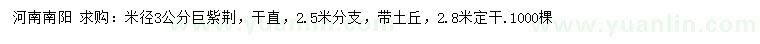 求購米徑3公分巨紫荊