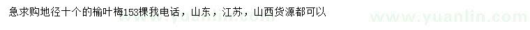 求購(gòu)地徑10公分榆葉梅