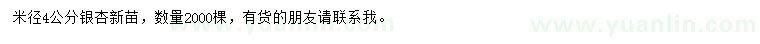 求購米徑4公分銀杏