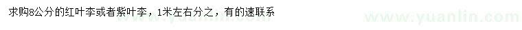 求購(gòu)8公分紅葉李、紫葉李