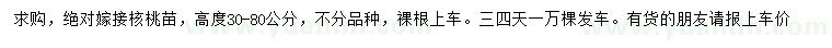 求購高度30-80公分嫁接核桃苗