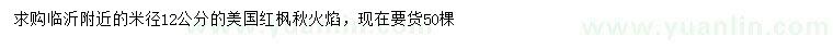 求購米徑12公分美國紅楓秋火焰
