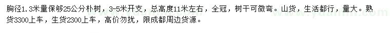 求購1.3米量25公分樸樹