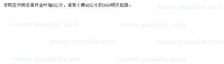 求購5公分金葉榆、45公分小檗