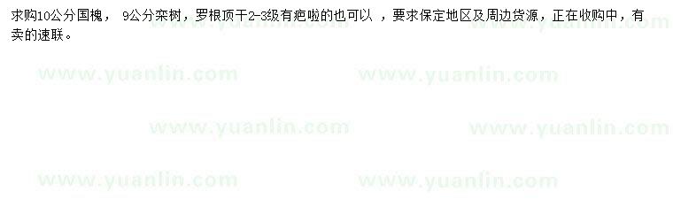求購10公分國槐、9公分欒樹