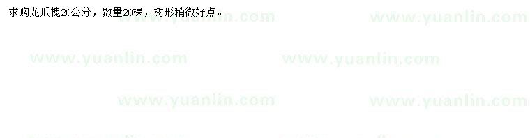 求購20公分龍爪槐