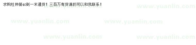 求購(gòu)40-100公分杜仲苗