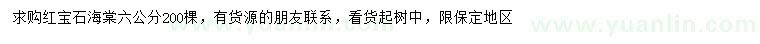 求購6公分紅寶石海棠