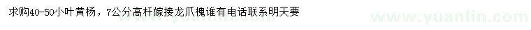 求購(gòu)40-50公分小葉黃楊 、7公分高桿嫁接龍爪槐