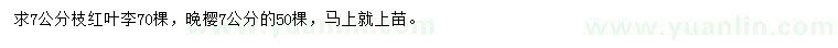 求購(gòu)7公分紅葉李、晚櫻