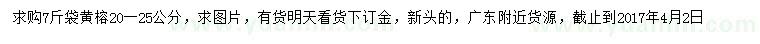 求購20-25公分黃榕