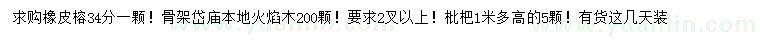 求購(gòu)橡皮榕、本地火焰木、枇杷