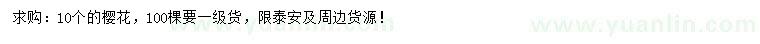 求購10公分櫻花