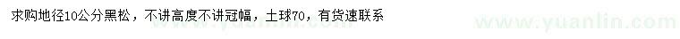 求購地徑10公分黑松