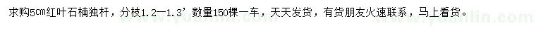 求購5公分紅葉石楠