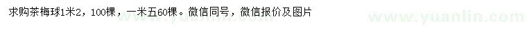 求購1.2、1.5米茶梅球