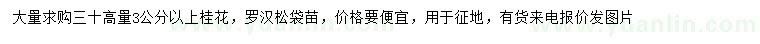 求購(gòu)高30量3公分以上桂花
