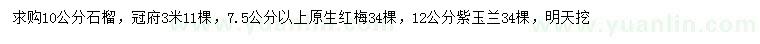 求購(gòu)10公分石榴、7.5公分紅梅