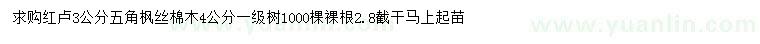求購(gòu)紅櫨、五角楓、絲棉木