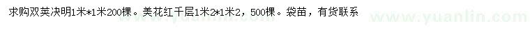 求購1*1米雙莢決明、 1.2*1.2米美花紅千層