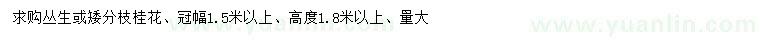求購(gòu)冠幅1.5米以上叢生或矮分枝桂花