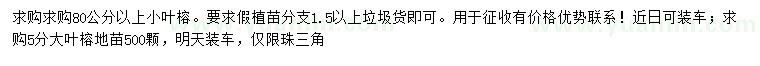求購(gòu)80公分以上小葉榕