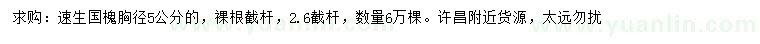 求購胸徑5公分速生國槐