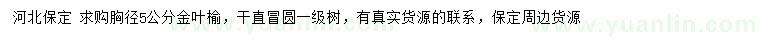 求購胸徑5公分金葉榆