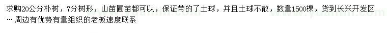 求購(gòu)20公分樸樹(shù)