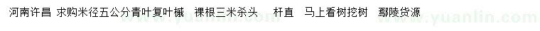 求購米徑5公分青葉復葉槭