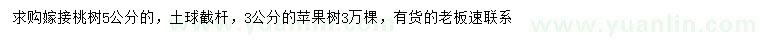 求購5公分嫁接桃樹、3公分蘋果樹