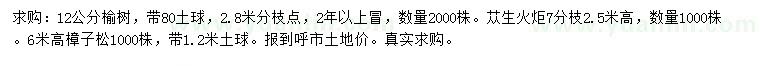 求購榆樹、叢生火炬、樟子松