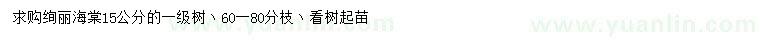 求購15公分絢麗海棠