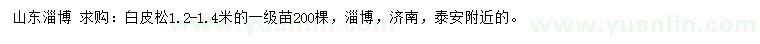 求購1.2-1.4米白皮松