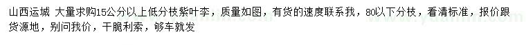 求購15公分以上紫葉李