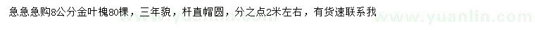 求購8公分金葉槐
