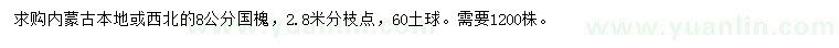 求購8公分國槐
