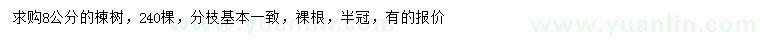 求購(gòu)8公分楝樹(shù)