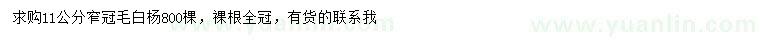 求購(gòu)11公分窄冠毛白楊