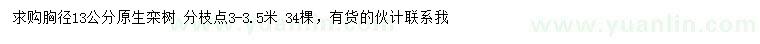 求購(gòu)胸徑13公分欒樹(shù)