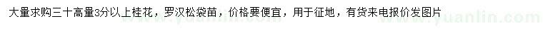 求購高30公分量3公分以上桂花