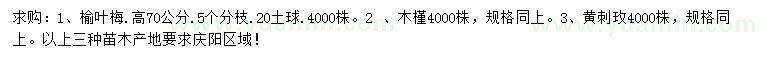 求購榆葉梅、木槿、黃刺玫