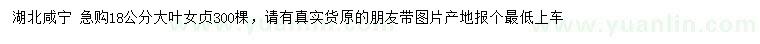 求購(gòu)18公分大葉女貞